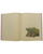 Tropic of Cancer - Ben Peterson